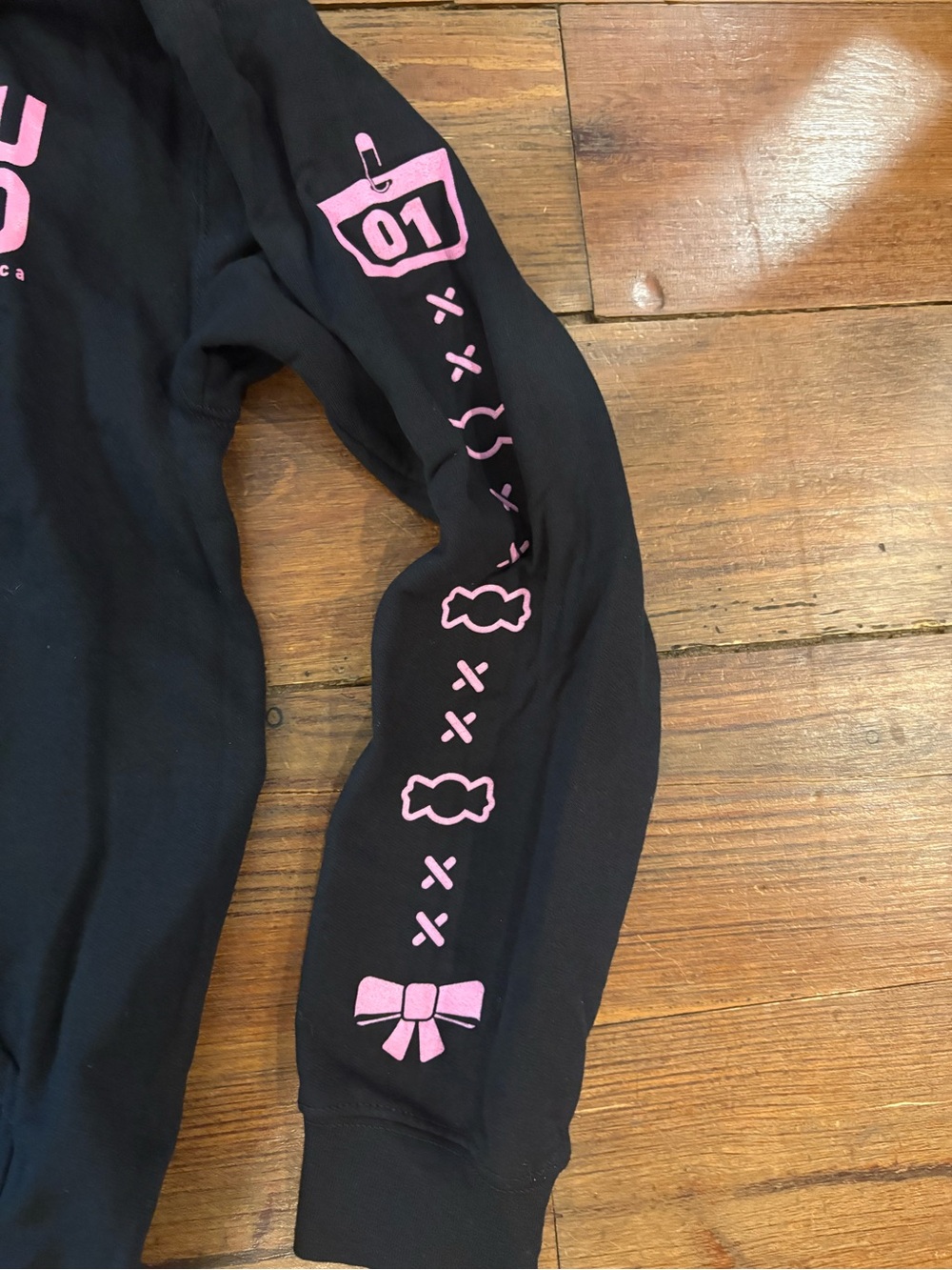 Miku Expo 2026 Black Zip Hoodie with Pink Graphics NWOT - Picture 5 of 9
